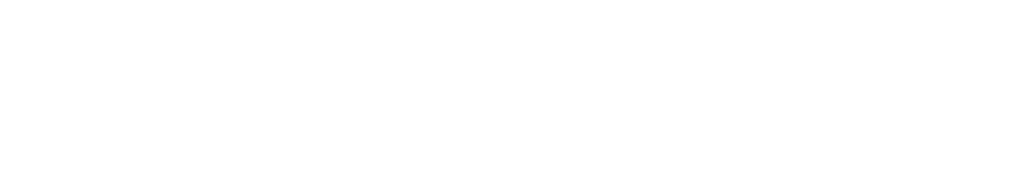 Flash Logo